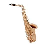 Student Sassofono Strumento Per Sassofono Contralto, Chiavi A Doppia Barra, Esercizi Professionali Avanzati Per Suonare Il Sassofono Per Principianti