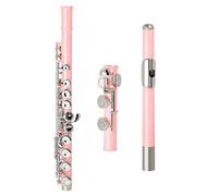 Studente Flauto 16 Fori Flauto Foro Chiuso Tono C Flauto Rosa Chiave D'argento Cupronichel Strumenti A Fiato Con Custodia In Pelle Panno Per La Pulizia Flauto Set