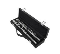 Studente Flauto Flauto A 16 Fori Tono C Foro Chiuso Flauto Cupronichel Placcato Argento Strumento A Fiato