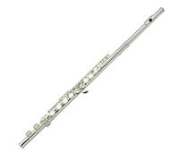 Studente Flauto Flauto Da Esame A 16 Buche Placcato Argento Flauto C-tune Strumento Musicale Flauto Principiante Studente Placcato Argento Flauto Set