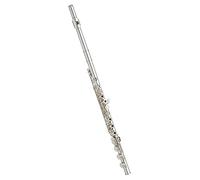 Studente Flauto Professionale Principiante Adulto Flauti C Foot/Open Hole/Offset G/Split E Flauto Set