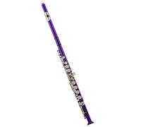 Studente Flauto Set Di Flauti A 16 Tasti Colorati Do Foro Chiuso Blu Rosso Viola Argento Nichelato Principiante Con Custodia Guanti Flauto Set (Color : Purple)