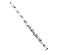 Studente Flauto Set Di Flauti A 16 Tasti Colorati Do Foro Chiuso Blu Rosso Viola Argento Nichelato Principiante Con Custodia Guanti Flauto Set (Color : Silver)