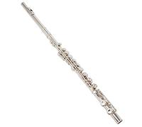 Studente Flauto Set Di Flauti A 16 Tasti Colorati Do Foro Chiuso Blu Rosso Viola Argento Nichelato Principiante Con Custodia Guanti Flauto Set (Color : Nickel)