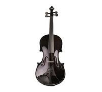 Studente Principiante Legno Massello Di Alta Qualità 4/4 Violino Violino Set Completo Accessori Violino Nero (Color : 1/2)