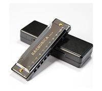 studenti Armonica Armonica A 10 Fori In Titanio Armonica Per Strumenti Musicali Per L'educazione Degli Studenti (Color : Silver)