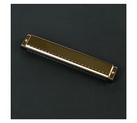studenti Armonica Prestazioni Professionali Armonica Polifonica In C 24 Buche Insegnamento Introduzione Principiante Studente Adulto (Color : Gold)