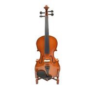 Studenti Di Violino Elettroacustico In Legno Massello Brillante, Principianti, Per Adulti, Che Suonano Il Violino (Color : 01)