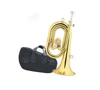 Studenti Principianti Tromba Professionale Trasferimento In Do Diesis Alla Tromba Della Banda Militare Con Melodia In Do Principianti Ottone Tromba