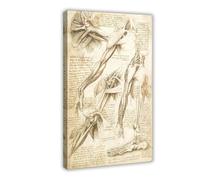 Studi del corpo umano - Muscoli del braccio e del piede di Leonardo Da Vinci poster camera da letto tela decorazione murale arte ufficio camera da letto decorazione estetica Gi