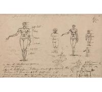 Studi di anatomia, misure e scrittura, stampa poster di James Ward (18 x 24)