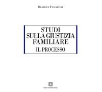 Studi sulla giustizia familiare - il processo