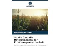 Studie über die Determinanten der Ernährungsunsicherheit: Buchführung im informellen Sektor: der Fall Bagheera