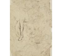 Studienblatt; Die Vorderläufe eines Pferdes sowie ein Kinderkopf - Poster stampato da Annibale Carracci (45,7 x 61 cm)