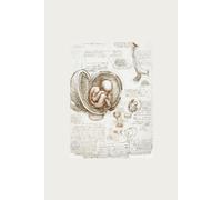 ‘Studies of the Foetus in the Womb’ Paperback 6x9 Matte Journal, 150 Lined White Pages: Artwork by Leonardo da Vinci