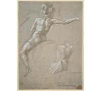 Studio di un guerriero a cavallo (ca. 1511 - 1512) Stampa poster di Raffaello (18 x 24)