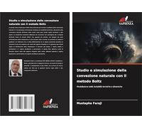 Studio e simulazione della convezione naturale con il metodo Boltz: Modellazione delle instabilità termiche e dinamiche