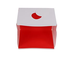 Studio Softbox Portatile con Barre Luminose a LED e 6 Pannelli di Sfondo a Colori per la Fotografia, Design Pieghevole, Bottoni Automatici in Metallo Stabili e Compatti