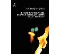 Studio sperimentale di fiamme diffusive di metano in aria stagnante