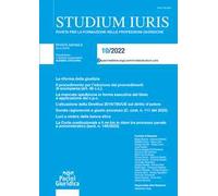 Studium iuris. Rivista per la formazione nelle professioni giuridiche (2022). Vol. 10