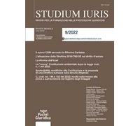 Studium iuris. Rivista per la formazione nelle professioni giuridiche (2022). Vol. 9