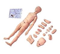 Study Model Patient Care Manikin PvcSimulator Human Model for Students Education Teaching MedicalSkills