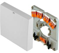 Stufa Jack Wago Fornello Scatola Presa Geräteanschlussdose Ap Up Pollman