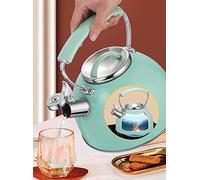 Stufa top stufa top bollitore 304 in acciaio inossidabile fischietto bollitore 2,5 litri cottura da piano cottura teakettle manico portatile manico portatile piatto piatto piatto piatto in teakettle