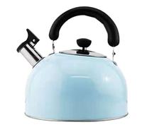Stufa top top tè tè in acciaio inossidabile in acciaio inossidabile Top Whistling Wotle Water Tea Pot veloce per far bollire la teiera Tea Tea Teapot per piano cottura a gas (Colore: Roze,