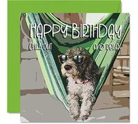 Biglietti di compleanno divertenti uomini e donne - Chill Cool Dog - Biglietto di auguri di buon compleanno lavoro colleghi amici fratello sorella mamma papà figlio figlia nonno 145