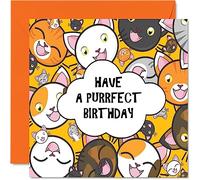 Stuff4 Biglietti di compleanno divertenti uomini e donne - Crazy Cats - Biglietto di compleanno mamma papà sorella fratello figlia zio nonno nonno o migliore amico 145mm