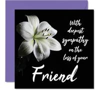 Stuff4 Biglietti di condoglianze con scritta in lingua inglese With Deepest Sympathy On The Loss Of Your Friend (lingua italiana non garantita) biglietti lutto adulti 145mm biglietto