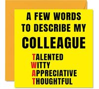 Stuff4 Biglietto auguri compleanno maleducato collega lavoro - Poche parole descrivono Tw* t - Biglietto auguri collega amico battute regalo compleanno 145mm Offensive Amicizia biglietti regalo