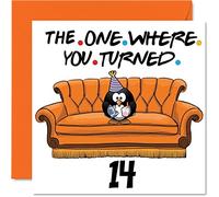 Stuff4 Divertente biglietto di compleanno 14° compleanno ragazzi e ragazze biglietto di auguri divertente figlio figlia fratello sorella nipote nipote nipote 145mm biglietto di