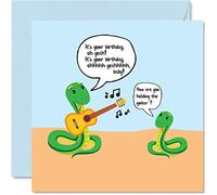 Stuff4 Divertente biglietto di compleanno uomo umorismo e donna - Snake Playing Guitar - Schede di compleanno lui o lei 145mm biglietti di auguri da donna uomo o mamma papà zia zio
