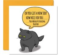 Divertente biglietto di partenza per colleghi donne e uomini con gatto impertinente - Sorry Your Leaving Good Luck in Your New Job Card 145mm