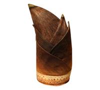 Stuffed Plants Toys, Cute Plush Plant Throw Pillow, Collectible Soft Model, Resists Deformation, for Home Decoration, Sleep Companion for Shelf, Table, Bedroom, and Living Room, 15,75 pollici