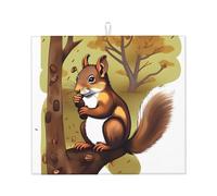 Stuoia assorbente del controsoffitto della cucina Stuoia di scarico stampata scoiattolo Nut-eating per le stoviglie drenanti