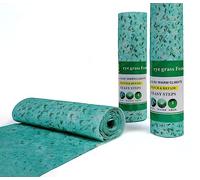 stuoia biodegradabile,all-in-One Tappeto erboso per Semi d'Erba, Semi di Erba integrati con fertilizzanti per Prato,Tappetino da prato,20 * 300cm (2)