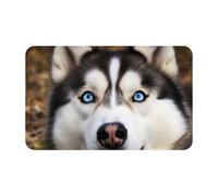 Stupid Husky Dog Zerbino Per Porta Assorbente Zerbino Per Ingresso Resistente Tappeto D'Ingresso Per Ufficio Casa Bagno 60X40Cm