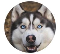 Stupid Husky Tappeto Rotondo Lavabile Antiscivolo Morbido e Lavabile per Camera da Letto Ufficio Casa Regalo 80x80 cm