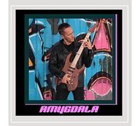 Stus Rollins - Amygdala