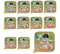 Stuzzy Box bocconcini 30 PZ patè per cane adulto e cucciolo 150 gr TUTTI I GUSTI