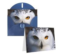 STVYUKL Biglietto di auguri bianco con occhi di gufo innevato, con buste, biglietti di ringraziamento, biglietti per note, biglietti per tutte le occasioni, per Natale, vacanze, compleanno, laurea