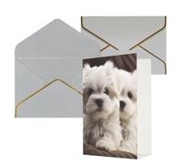 STVYUKL Biglietto di auguri con buste grigio chiaro, biglietto di auguri con simpatico cucciolo maltese, per compleanno, matrimonio, biglietti vuoti per tutte le occasioni, 10 x 15 cm