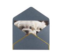 STVYUKL Biglietto di auguri con buste nere, biglietto di auguri con simpatico cucciolo maltese di buon compleanno, invito per matrimonio, biglietti vuoti per tutte le occasioni, 10,2 x 15,2 cm