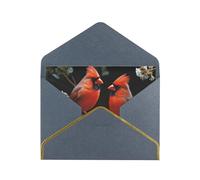 STVYUKL Biglietto di auguri con buste nere, Thinking of You Cardinals Birds Fauna Wild Happy Birthday Wedding Invitation Biglietti vuoti per tutte le occasioni 4x6