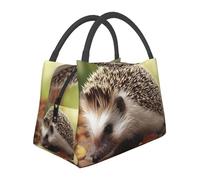 STVYUKL Borsa termica per il pranzo, riutilizzabile, a prova di perdite, a forma di riccio, borsa termica per alimenti, per donne, uomini, lavoro, picnic, viaggi