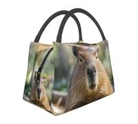 STVYUKL Borsa termica per il pranzo, riutilizzabile, a prova di perdite, con gli occhi chiusi, borsa termica per il pranzo, borsa termica per alimenti, per donne, uomini, lavoro, picnic, viaggi