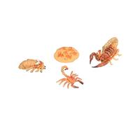 Stylebest Kit Educativo Scorpion Life Cycle Toys per Bambini con Modelli a 4 Livelli Realizzati in Plastica (Ciclo di crescita dello scorpione 2)